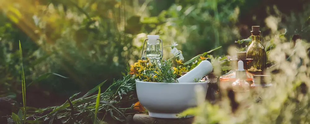 Médecine douce et prévention à Saint-André-de-Cubzac